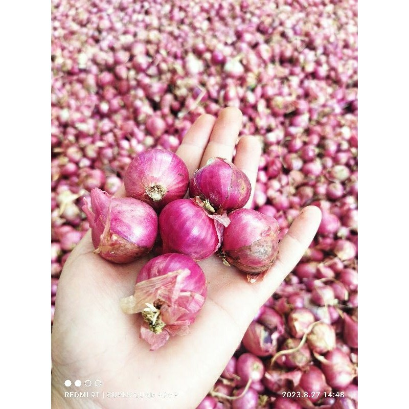 

bawang merah lokal bali karet super ( 1000 gram) petani langsung khas jawa barat