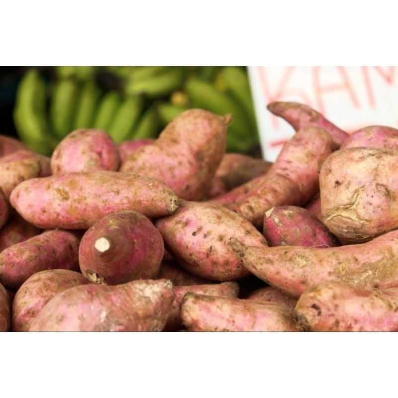 

bisa cod MACAM-MACAM UBI JALAR /KILO NY