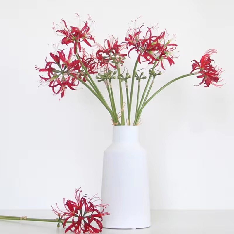 Tenvity Artificial Red Spider Lily Silk Flowers with Long Stem Home Decor Paramita Lycoris Radiata M