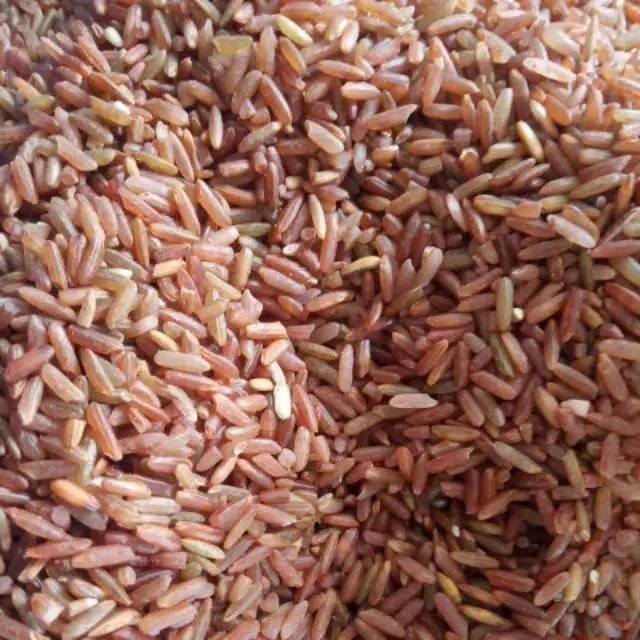 

beras merah sosohan 1000gr kiloan SANG PERINTIS 22
