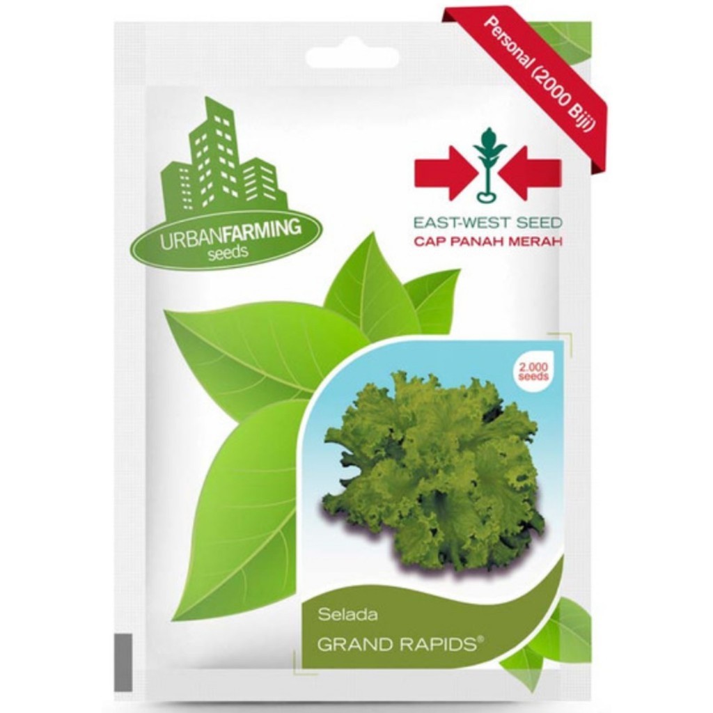 Benih Panah Merah - Selada Grand Rapids