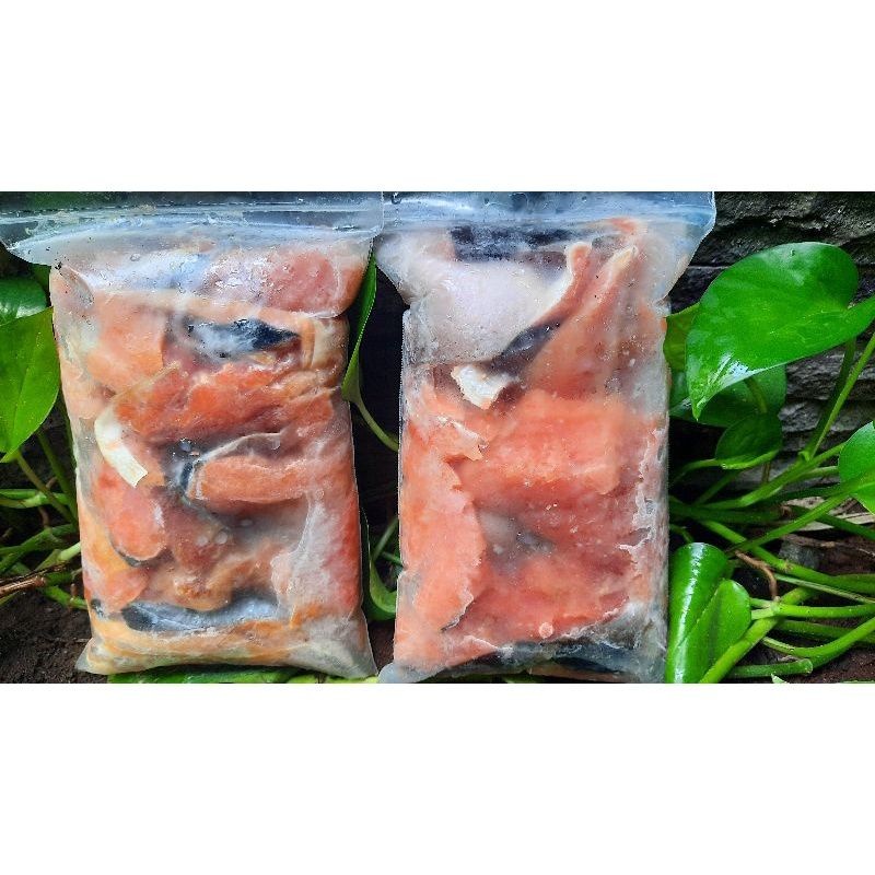 Daging Salmon Tetelan