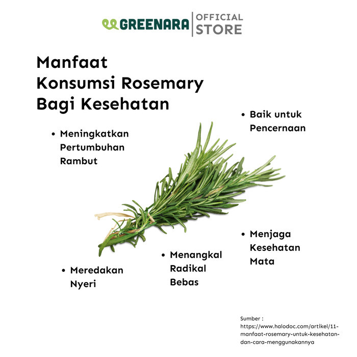 

Daun Rosemary Kering 1kg / Dried Rosemary Leaves