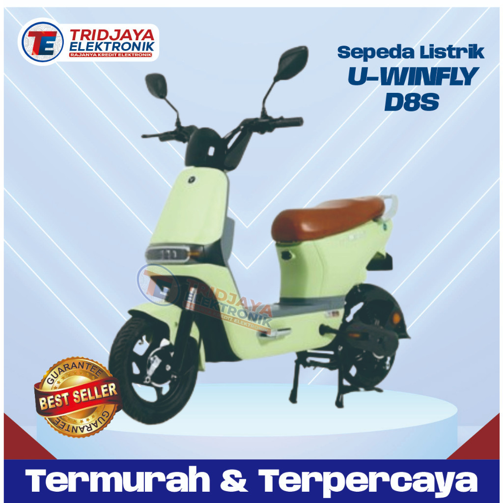 PROMO Sepeda Listrik Electric Bike U Winfly D8S