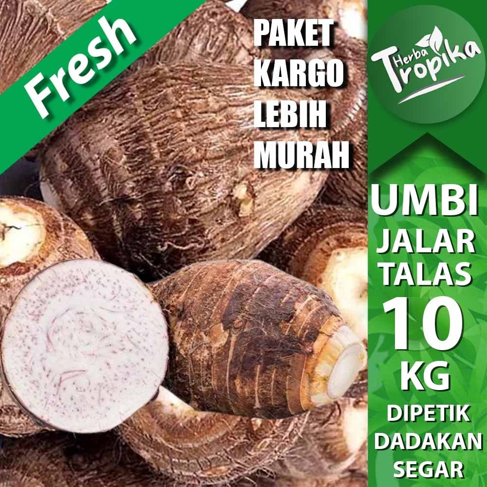 

Paket kargo Umbi Jalar Talas Kimpul 10 kg toko herba tropika