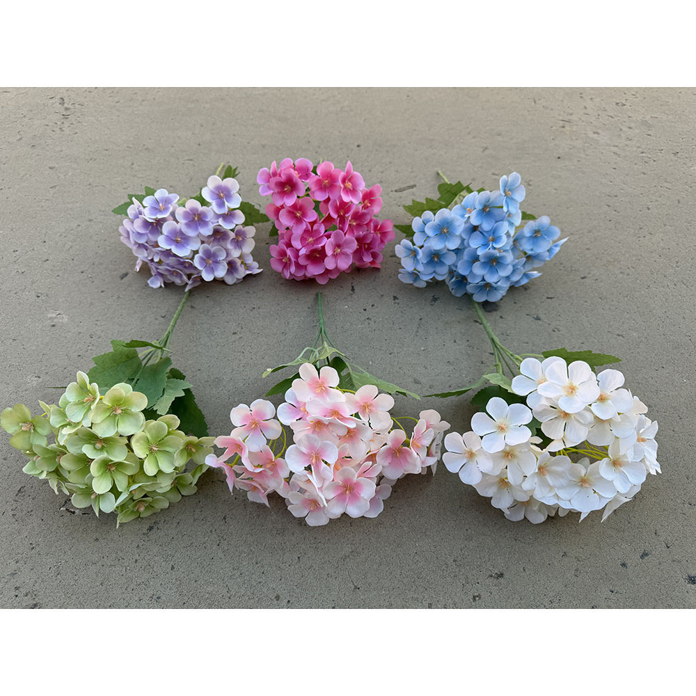 Bunga Hortensia Pancawarna