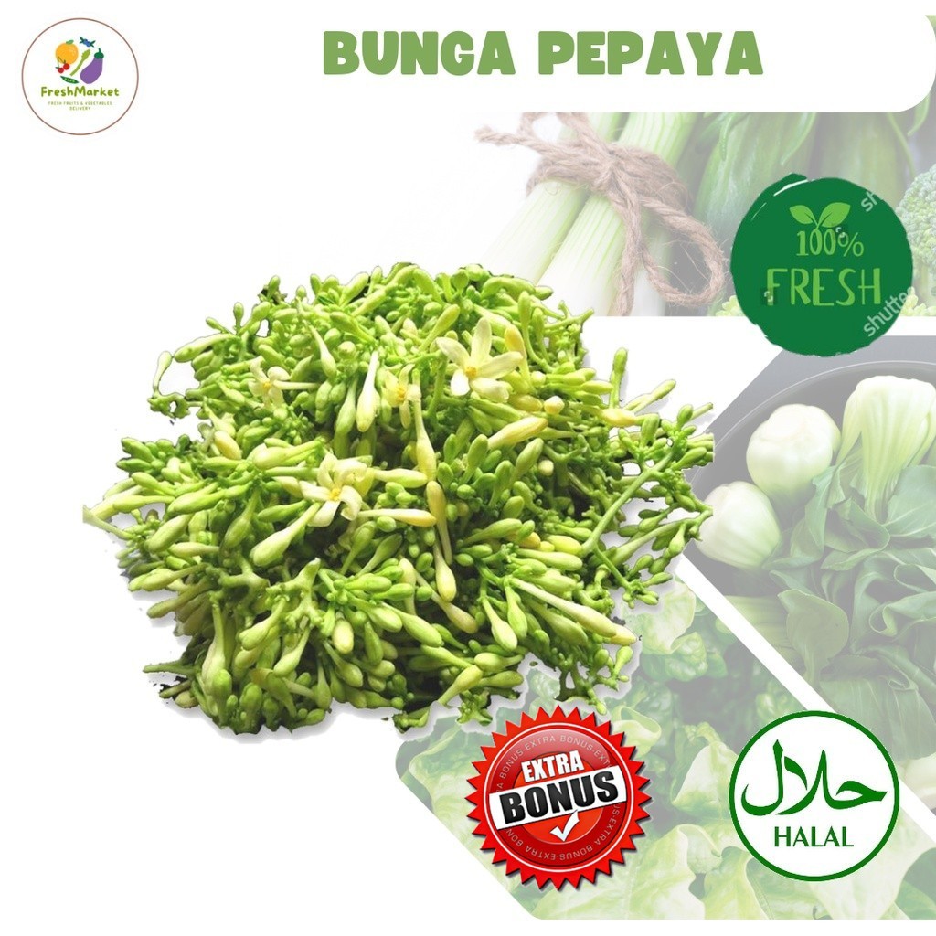 

Bunga Pepaya Kembang Kates Segar 500 Gram Sayurinstant
