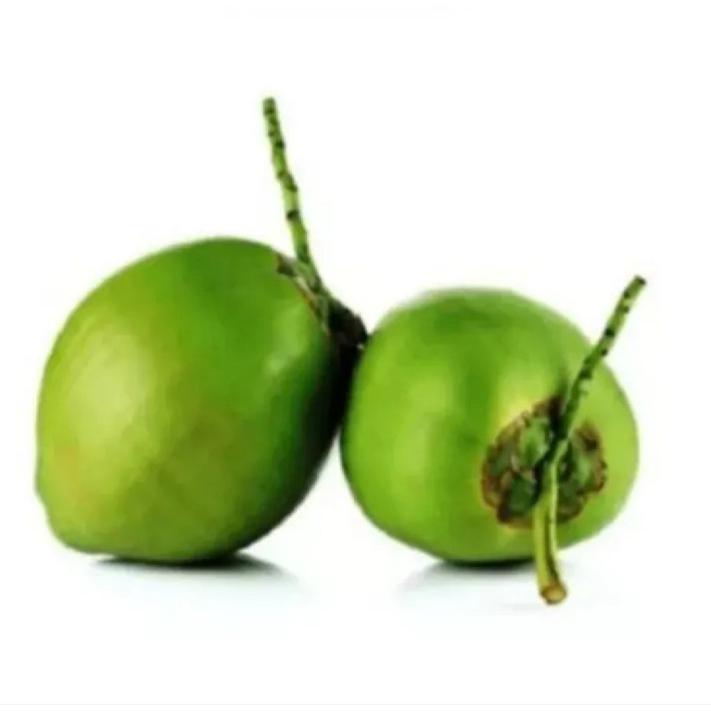 

Buah kelapa mudan hijau segar dan press baru di petik persatu buah