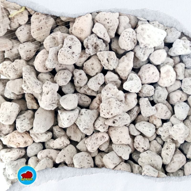 Batu apung media filter akuarium batu apung 250gr filter kolam aquascape