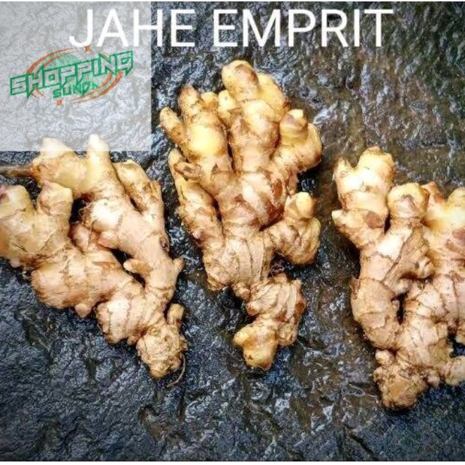 

100 GRAM JAHE EMPRIT SEGER FRESH(BERSIH)