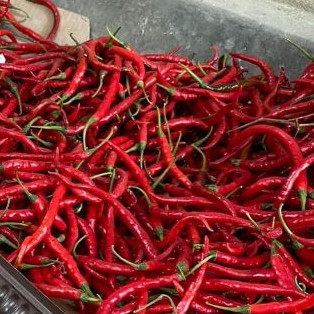 

Paket 1kg cabai merah kriting super harga murah