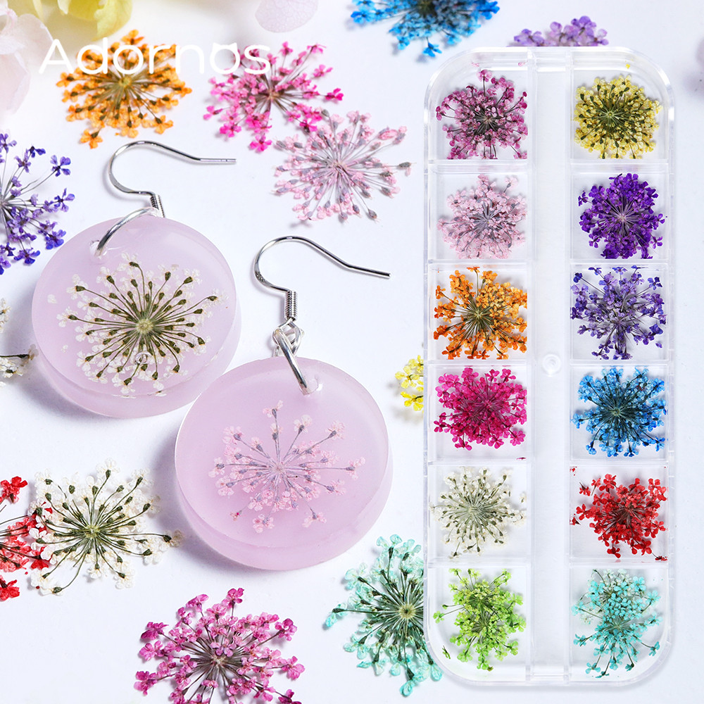 

24pcs Dry Flowers Epoxy Resin Filling Accessories Natural Floral Sticker Design Nail Art Beauty Decal DIY Keychain Crafts Making