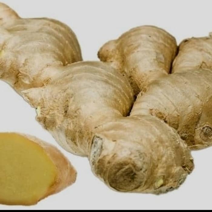 

Lempuyang (Zingiber Zerumbet) Segar 1kg Shop with