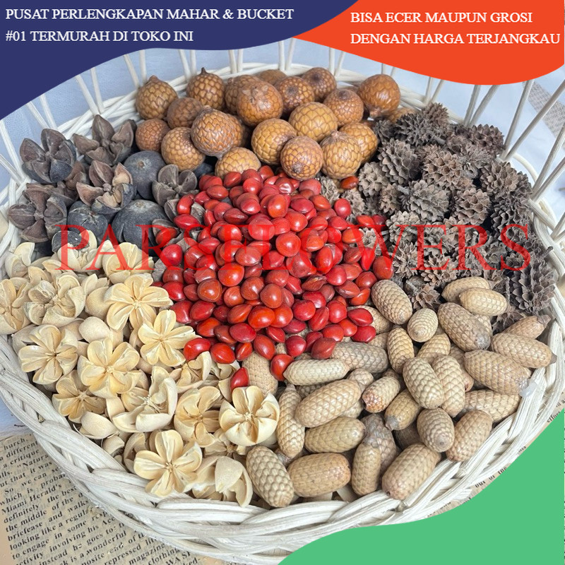 

1 PACK BIJI BIJIAN BAHAN KERAJINAN BAHAN MAHAR PROPERTI FOTO PROPERTI FOTOGRAFI DEKORASI HIASAN RUSTIC RUSTIK