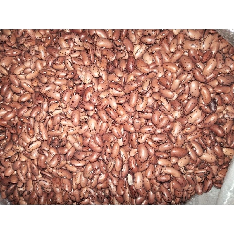 

Kacang Joglo Merah Import 1kg Kaya Vitamin A, B, C