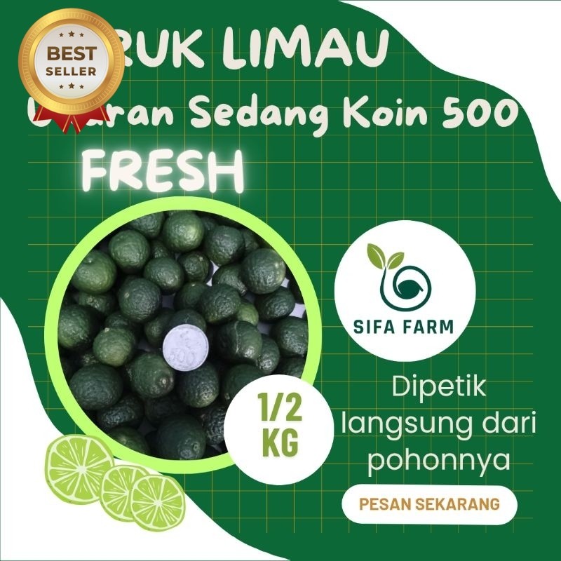 

Sifa Farm Jeruk Limau | Limo | Sambal 1/2 Kg Ukuran Sedang Koin 500 Fresh