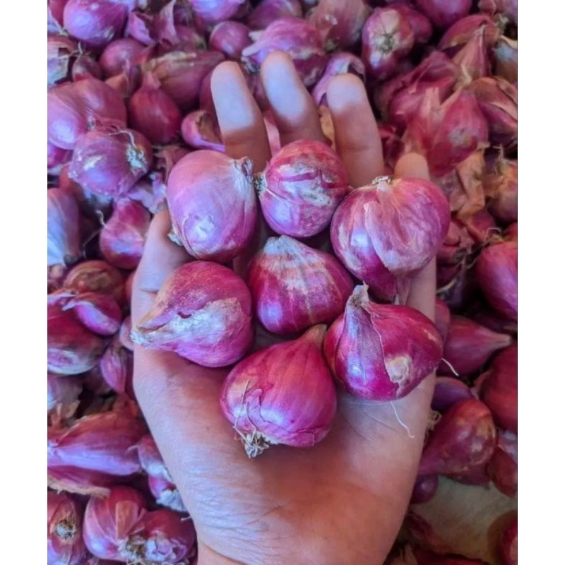 

Bawang merah organik Super 100 gram