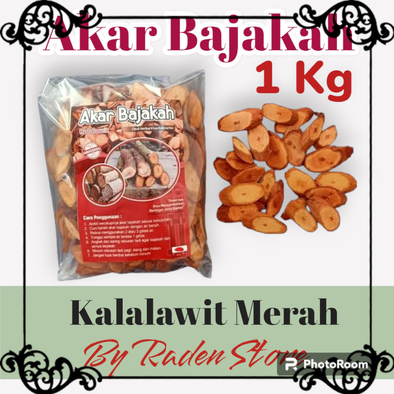 

Akar Bajakah Kalalawit Merah 1Kg Asli Kalimantan