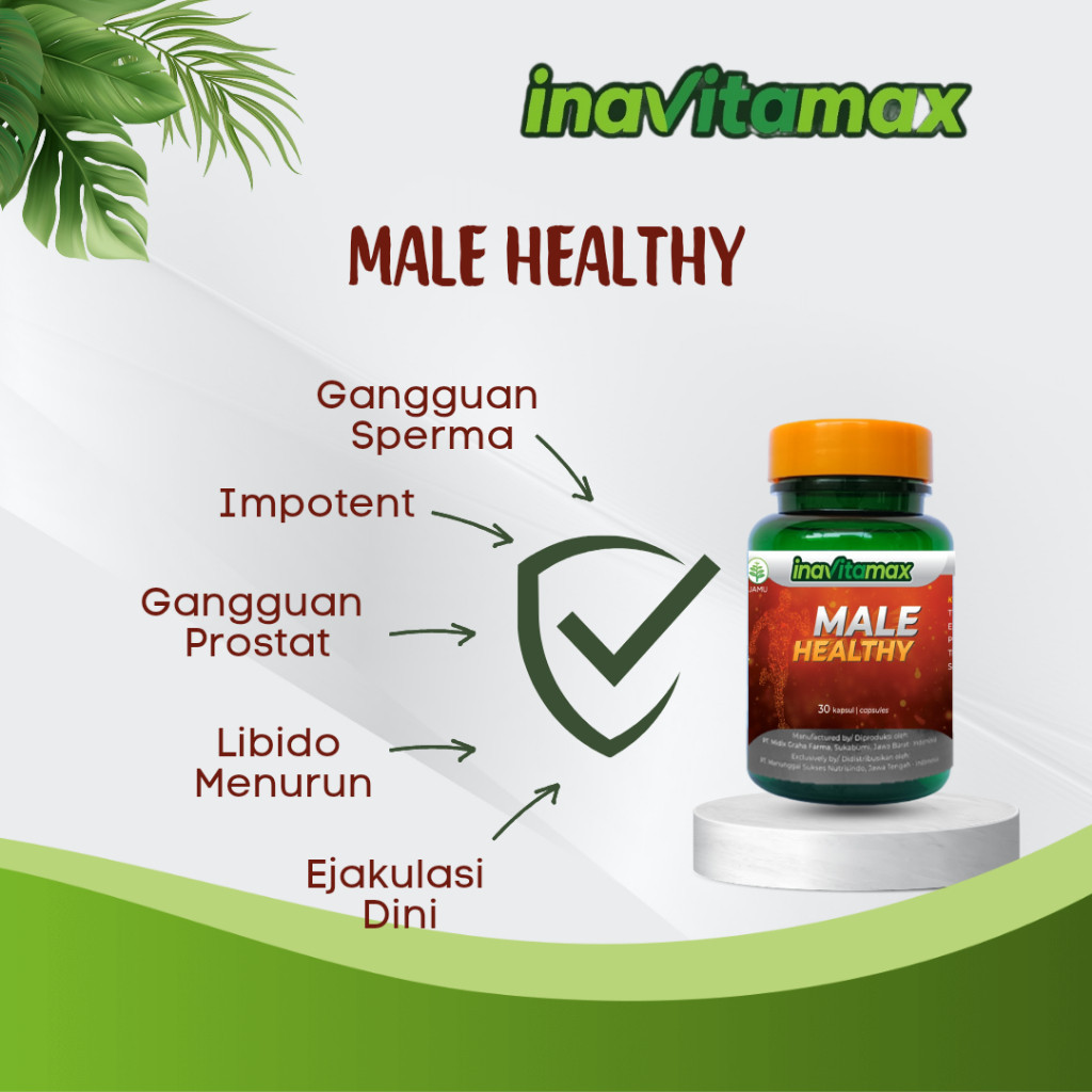 INAVITAMAX MALE HEALTHY