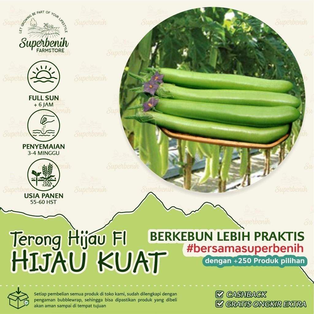 25 Biji - Benih Terong HIJAU KUAT F1, terong super panjang tahan virus [ART]