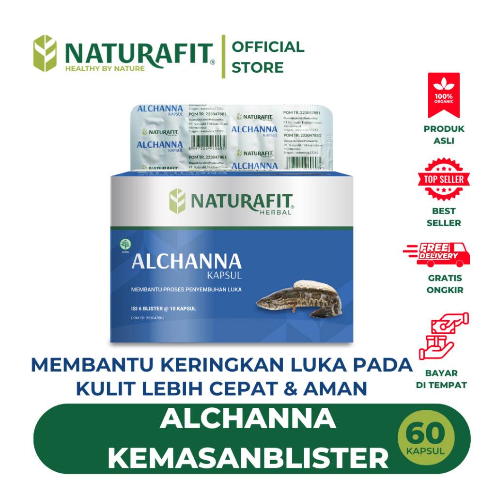 ORIGINAL Kapsul Kutuk / Obat Ekstrak Ikan Gabus Untuk Penyembuhan Luka Pasca Operasi Luka Kering