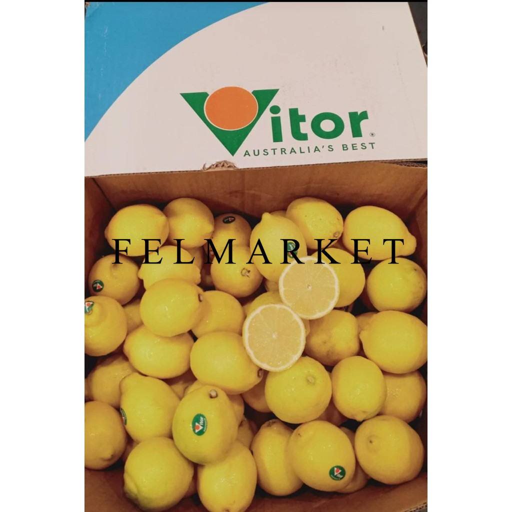 

Buah Lemon Australia Fresh Import / Lemon Australia / 600 grm