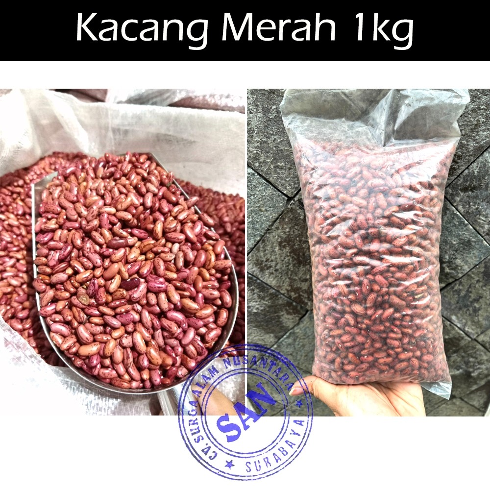 

Kacang Merah Brenebon