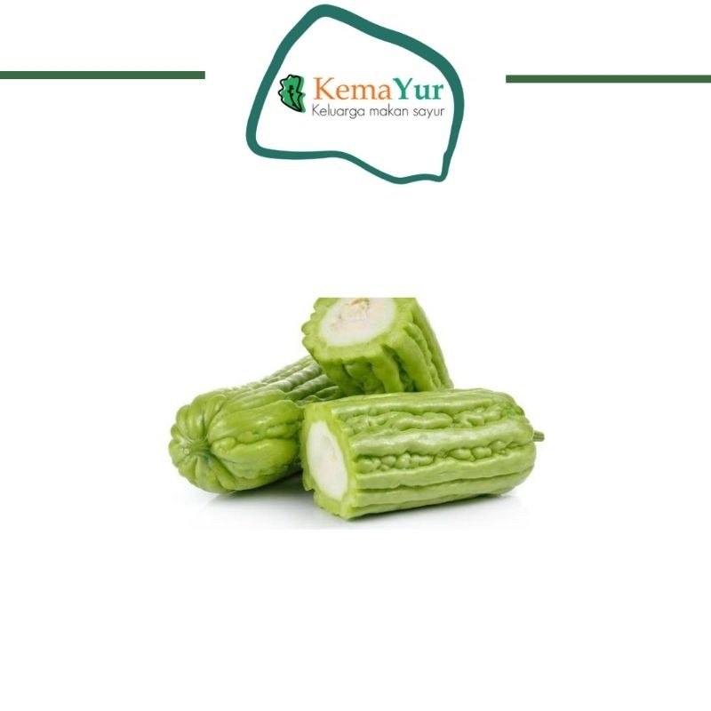 

SAYUR PARE GROSIR 1KG MURAH