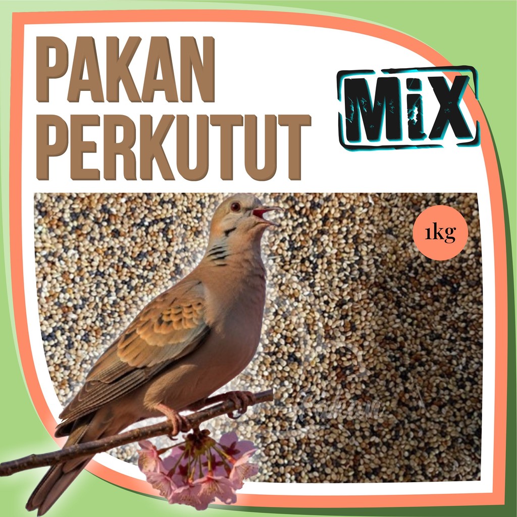 Pakan Burung Perkutut 1Kg Supaya Gacor Kiloan Biji Sawi Gabah Jewawut Milet Merah Milet Putih