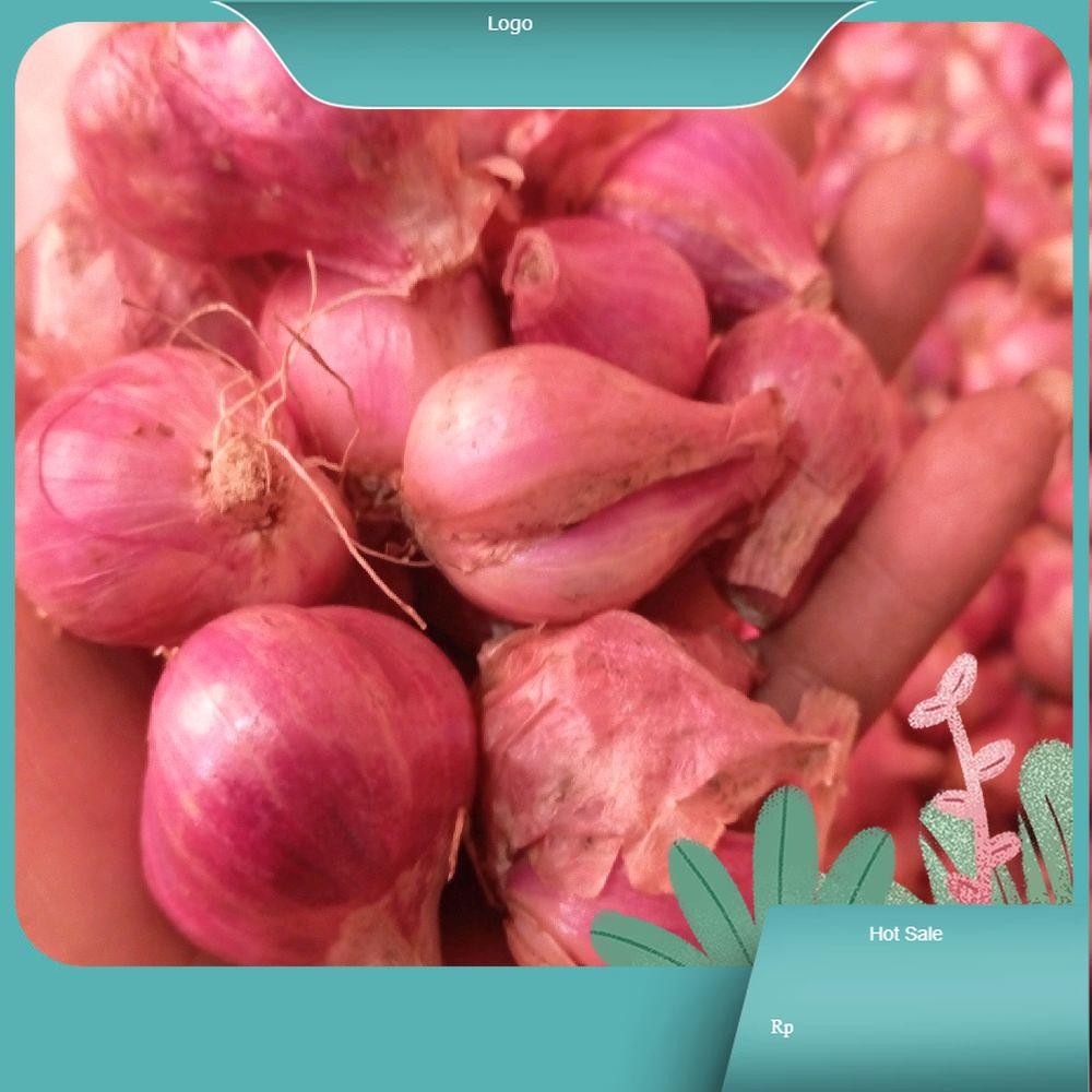 

bawang merah kering kemasan 250gram