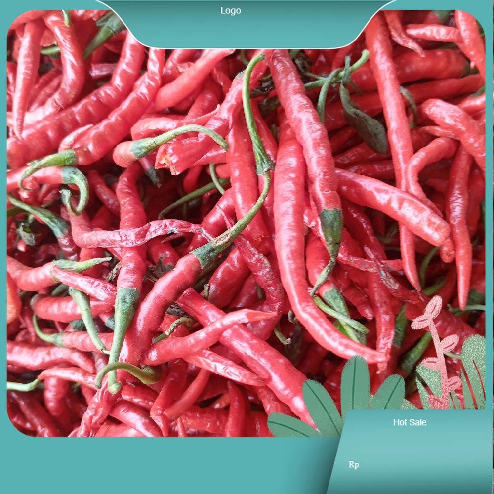 

Cabai Kriting Cabai Rawit Keriting Tanjung Pedas dan Segar Bubuk Spices Bahan Masakan