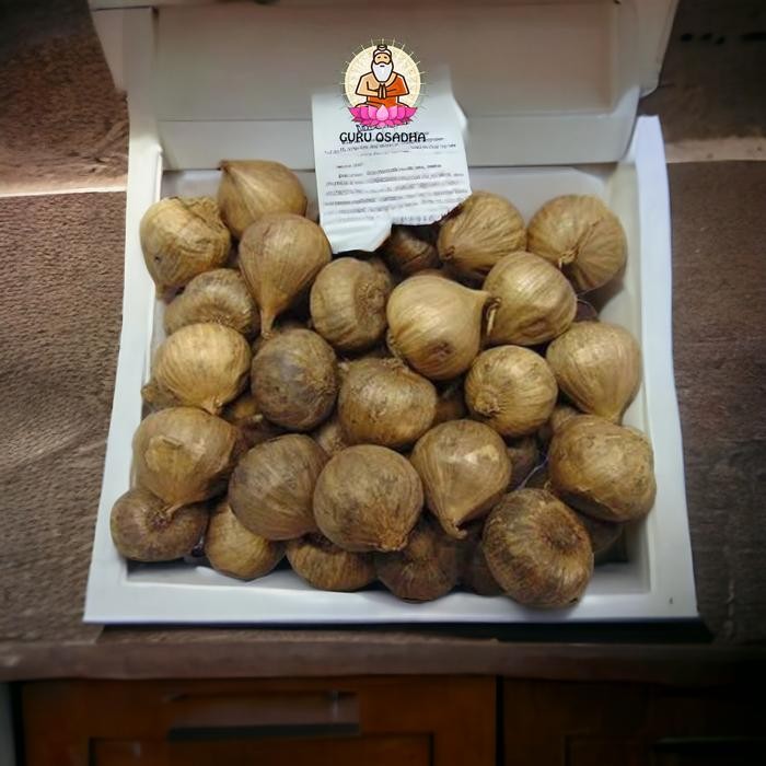 

Promo Black Garlic Guru Osadha 250 gram