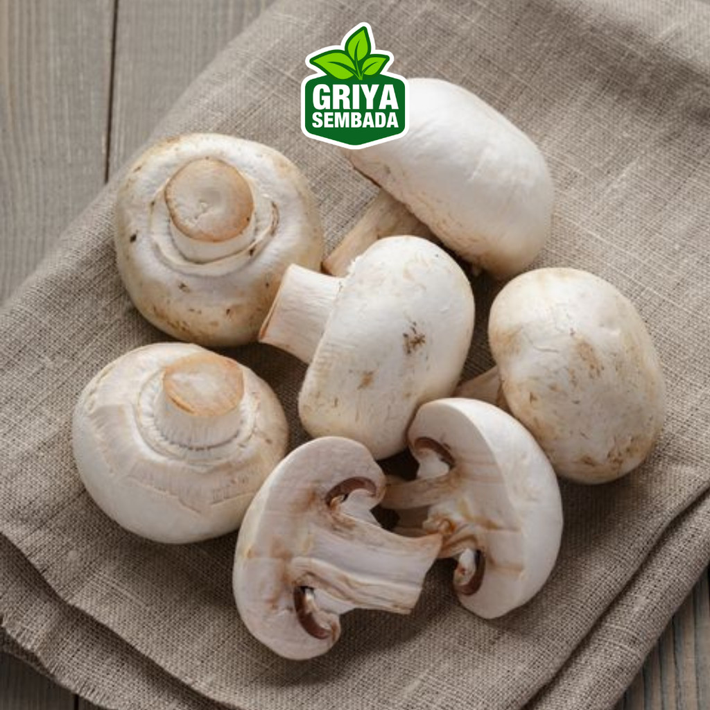 

Jamur Kancing 100gr - Sayur Online Denpasar