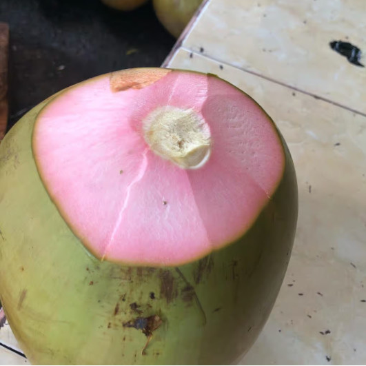 

[NS] Kelapa hijau wulung /degan hijau wulung / obat alami