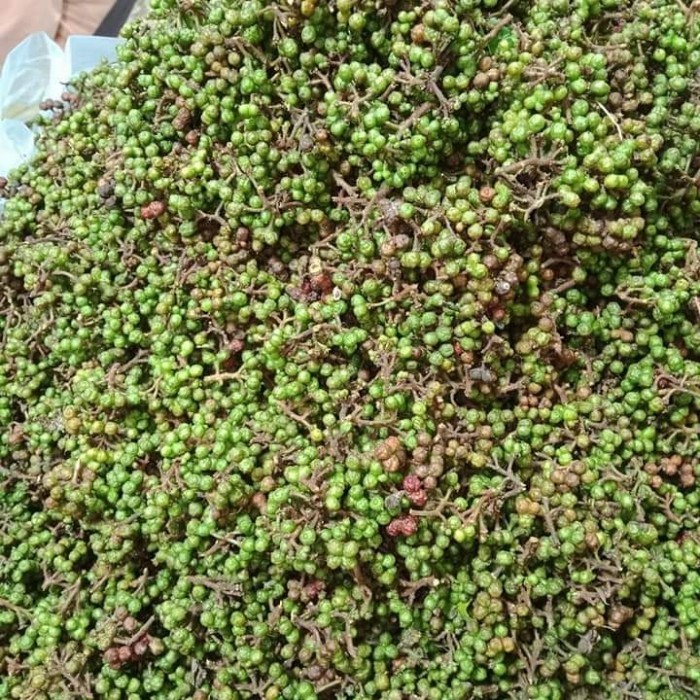 

TERJUAL Andaliman Fresh (Rempah Mahal yang Terlupakan) 250 gr