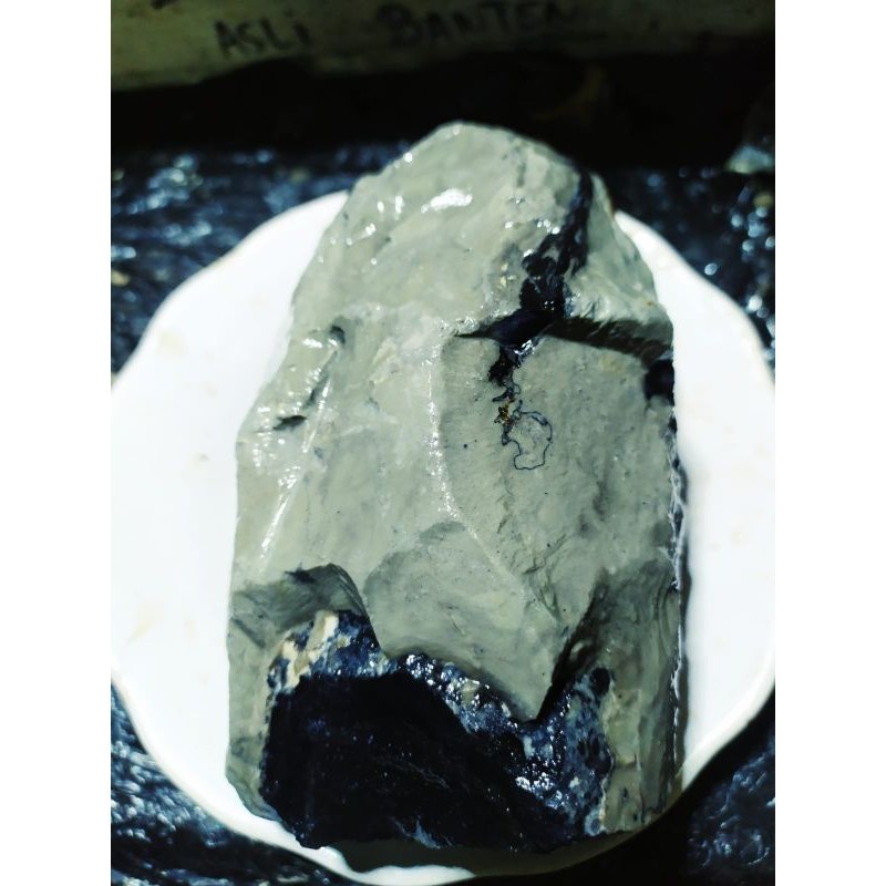 LM27U KALIMAYA JARONG SAMUDRA DAN RUYUNG ASLI BANTEN