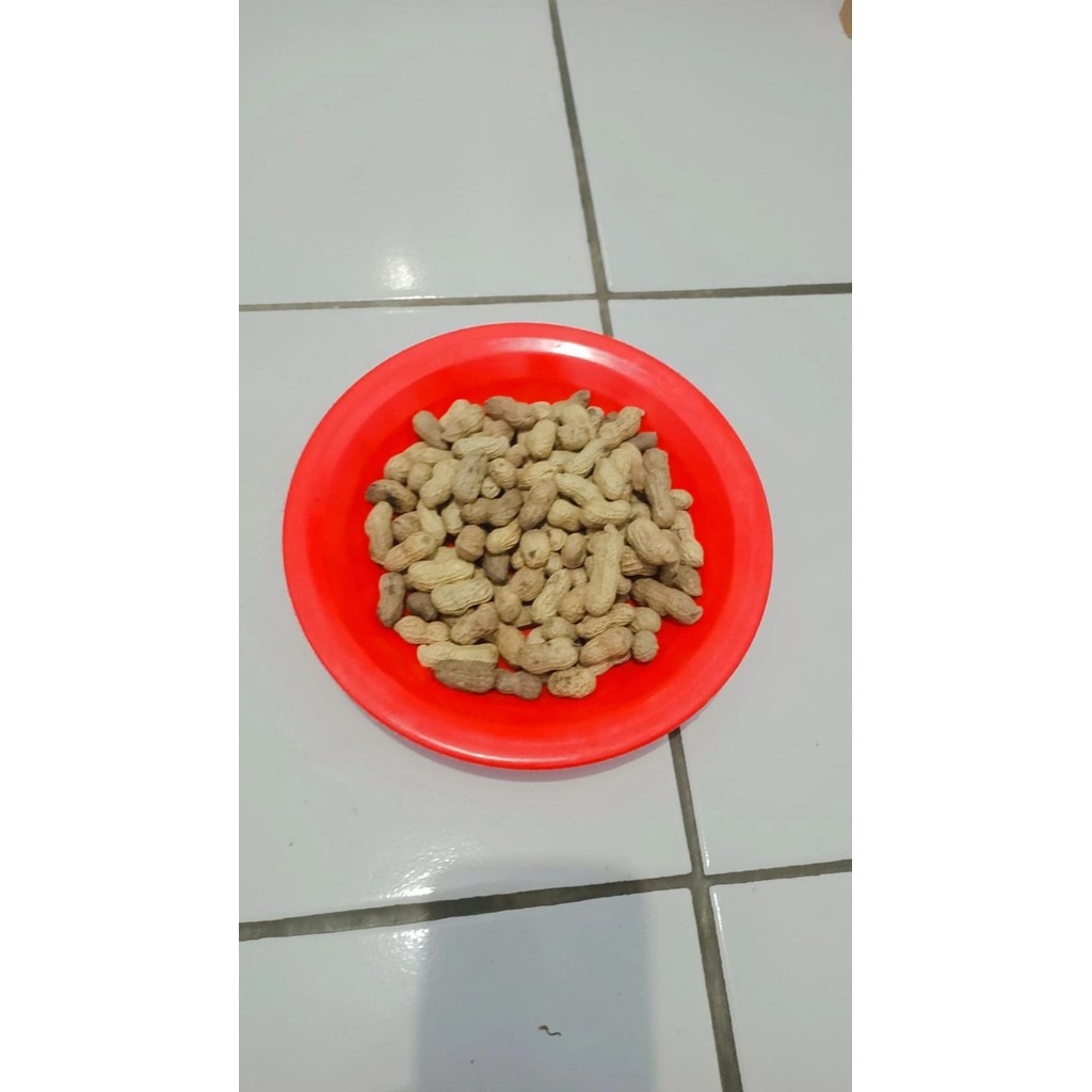 

kacang tanah super 500gr//kacang sangrai