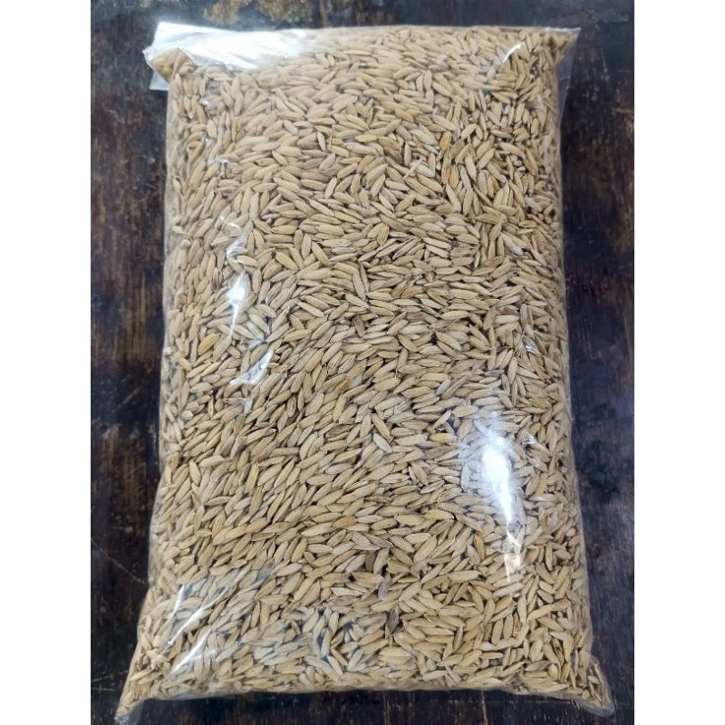 

Gabah beras merah kemasan 1kg