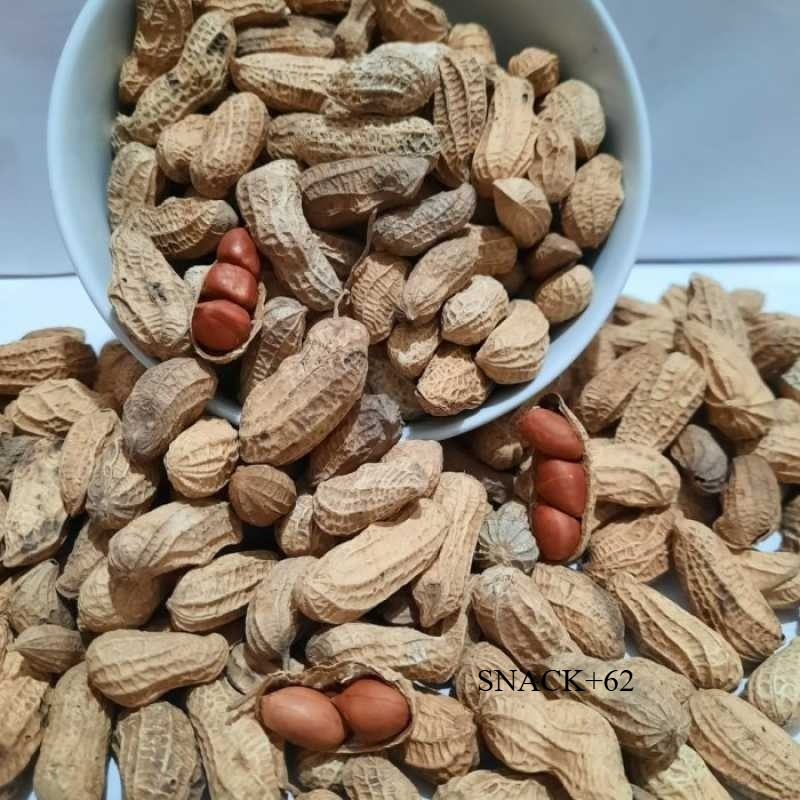 

Kacang Kulit Sangrai Kacang Tanah Snack Camilan Cemilan Viral