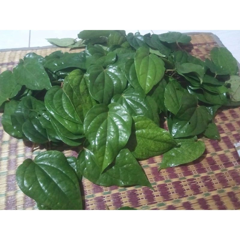 

Daun Sirih 10 Lembar Fresh Sereh Wangi Pereh Mata