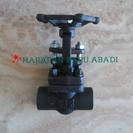 Gate Valve Class 800 SockWeld 1" inch / Gate Valve A105 SW