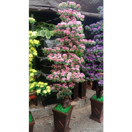 JAMIN MURAH TINGGI 210CM BONSAI BUNGA HIAS SAKURA RIMBUN SUDUT RUANGAN DEKORASI ARTIFICIAL JUMBO KWA