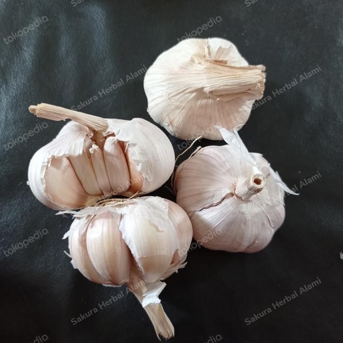 

promo bawang putih segar 1kg termurah ready