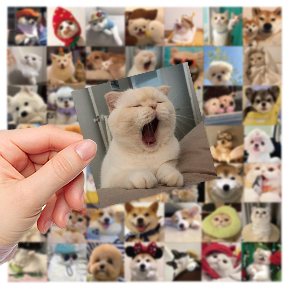 

10/30/52PCS Cute Dog Cat Stickers Decals Kids Toy DIY Laptop Phone Notebook Suitcase Kawaii Animals MEME Stickers For Girls Gift