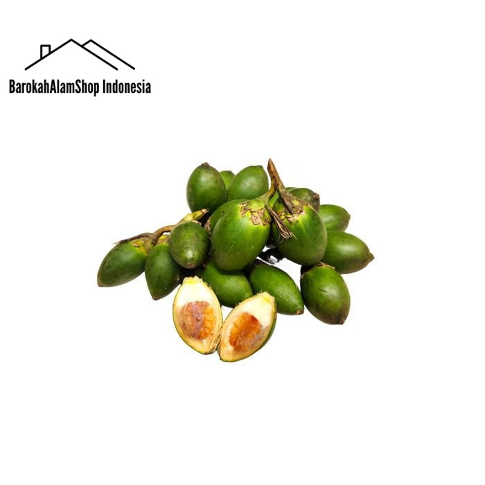 

Buah Pinang Muda Segar 1 Kg Herbal Perkasa Pria Dewasa