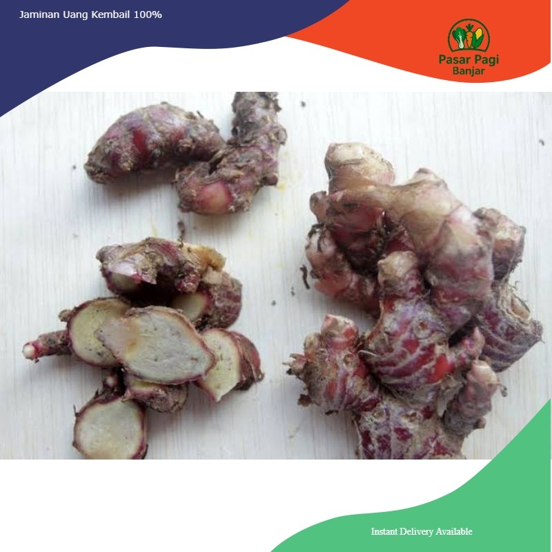 

Jahe Merah Besar / Berat 250 gram