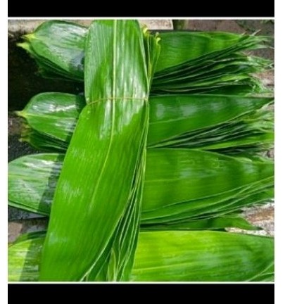 

New daun bambu jumbo daun bambu bu bungkus bacang 65 lmbar