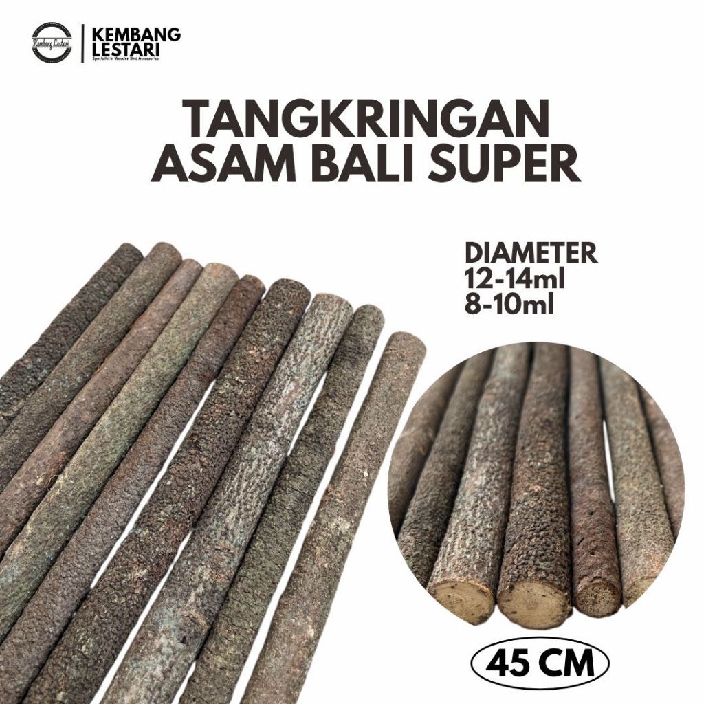 Tangkringan Asem Bali Super HIGH QUALITY