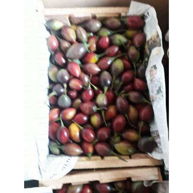 

Terong belanda(1000g)