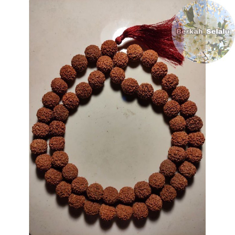 JENITRI TASBIH RUDRAKSHA 54 BUTIR BESAR JUMBO TASBEH Berkah_Selalu
